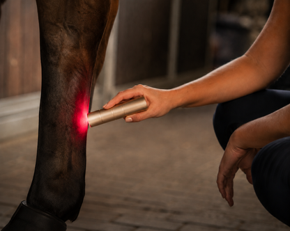 Equira Light Pen