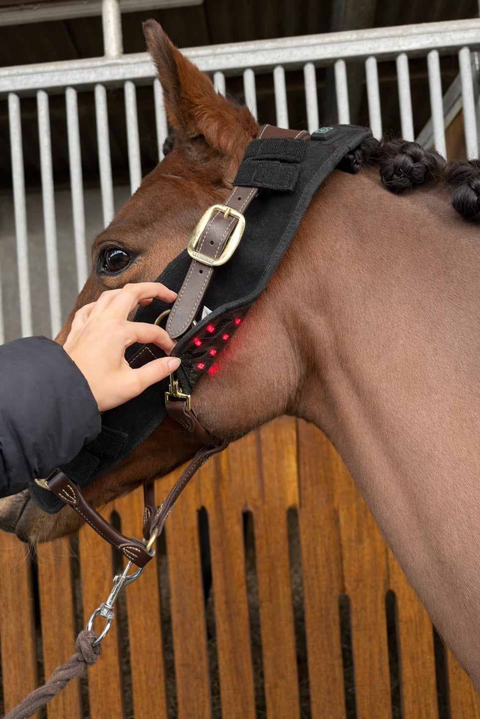 Equira Light FlexPad