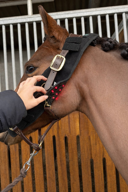 Equira Light FlexPad