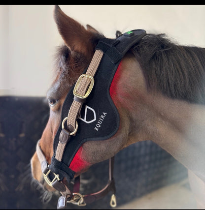 Equira Light FlexPad