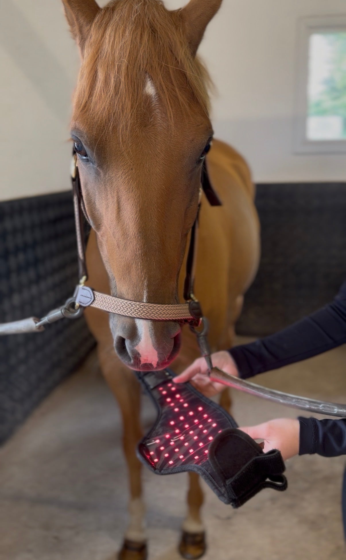 Equira Light FlexPad