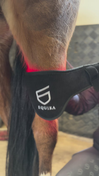 Equira Light FlexPad